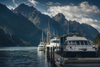 New Zealand coastal marina surrounded by hills and fjord-like cliffs