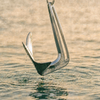 Savwinch 10kg claw anchor deploying into the water off a boat's bow