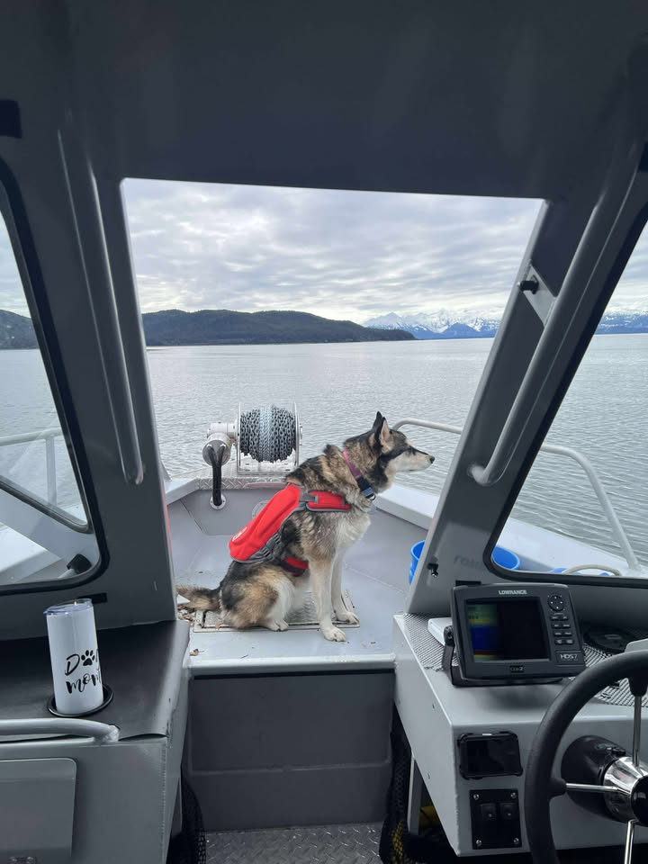 Hewescraft OceanPro 220